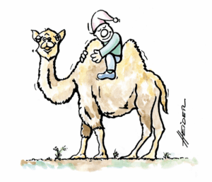 cartoon33 cameltrophy