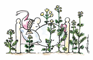 cartoon35 kraeuterbett