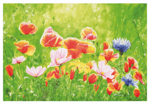 malerei27 mohnwiese1